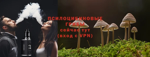 мет Алексин