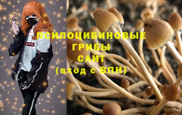 мет Алексин