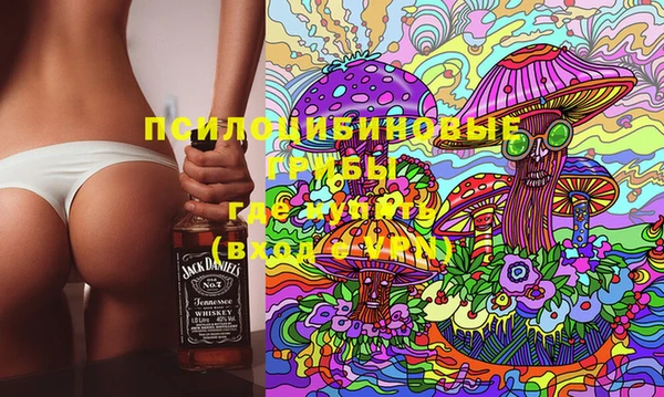 сатива Алексеевка